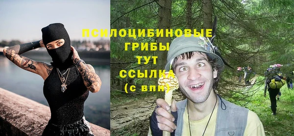 МДПВ Алексин