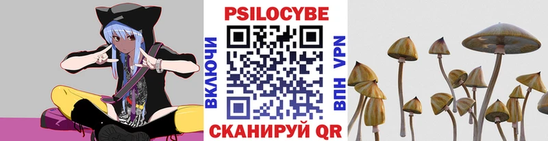 Псилоцибиновые грибы мухоморы где продают наркотики Старая Купавна
