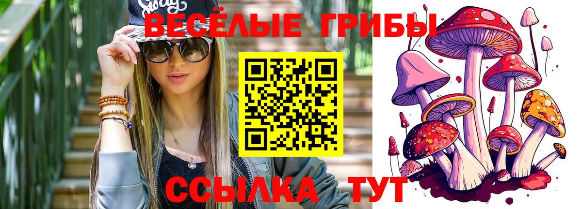 Старая Купавна  Галлюциногенные грибы Cubensis  Вход с VPN 